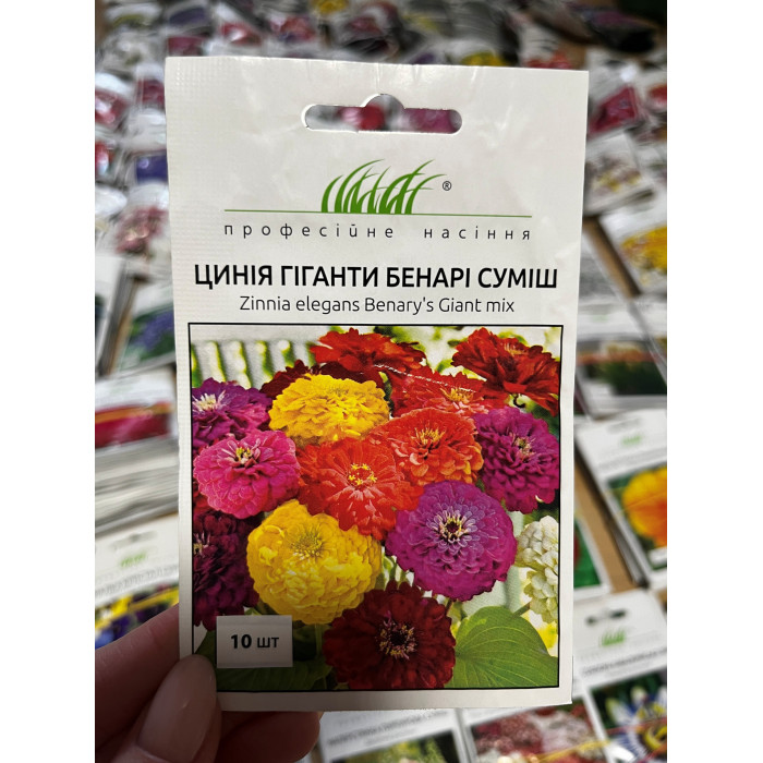 Циния гиганты Бенари смесь 10шт 90-100см