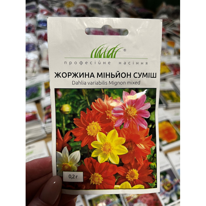 Георгина Миньон смесь 40-50см