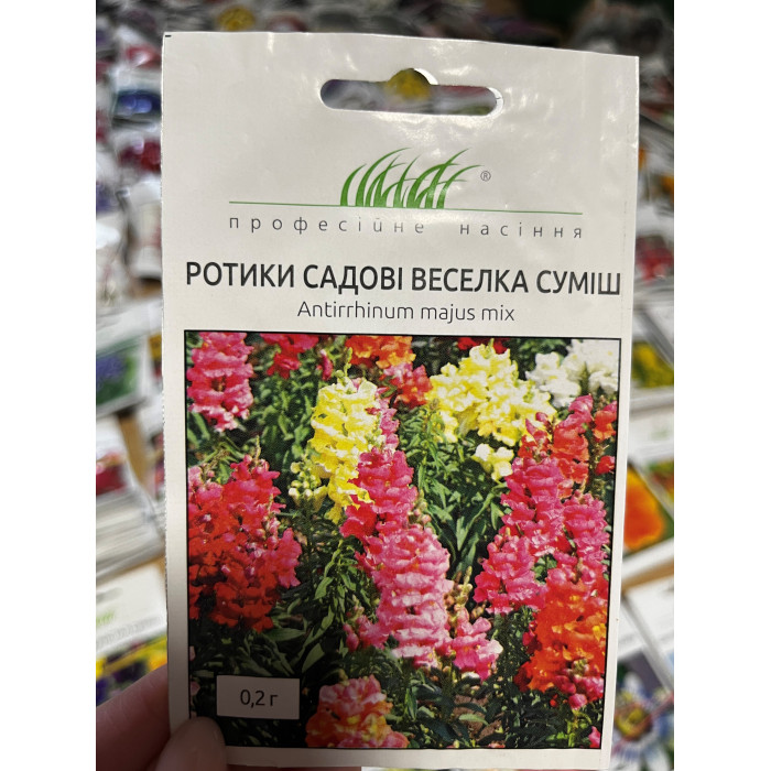 Ротики садові Веселка суміш 25-30см