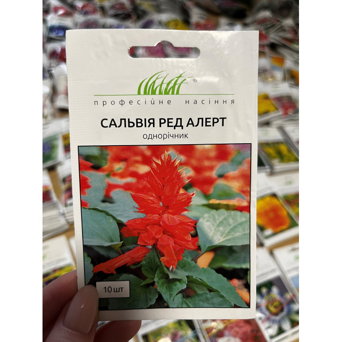 Сальвия Ред Алерт 15-20см