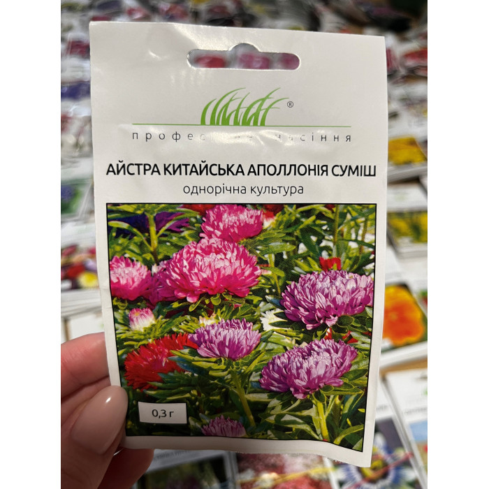 Астра Аполлония смесь