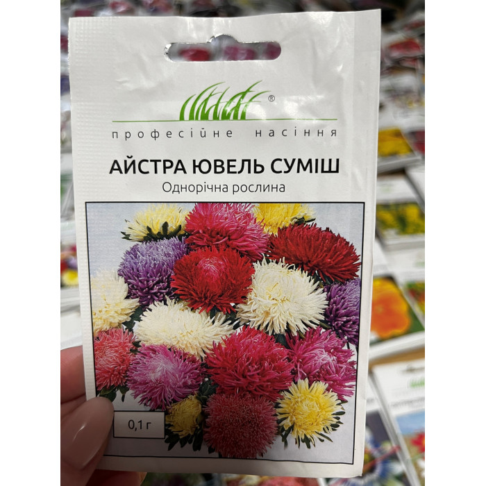 Айстра Ювель суміш 60-75см