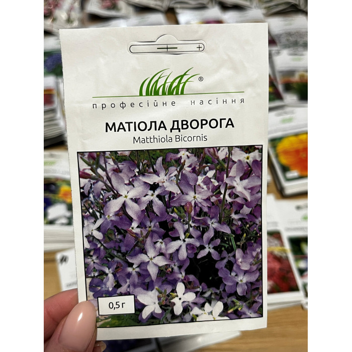 Матиола Дворога 40-50см