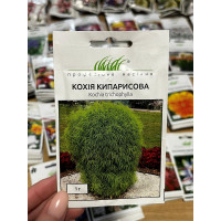 Кохія кипарисова 60-80см