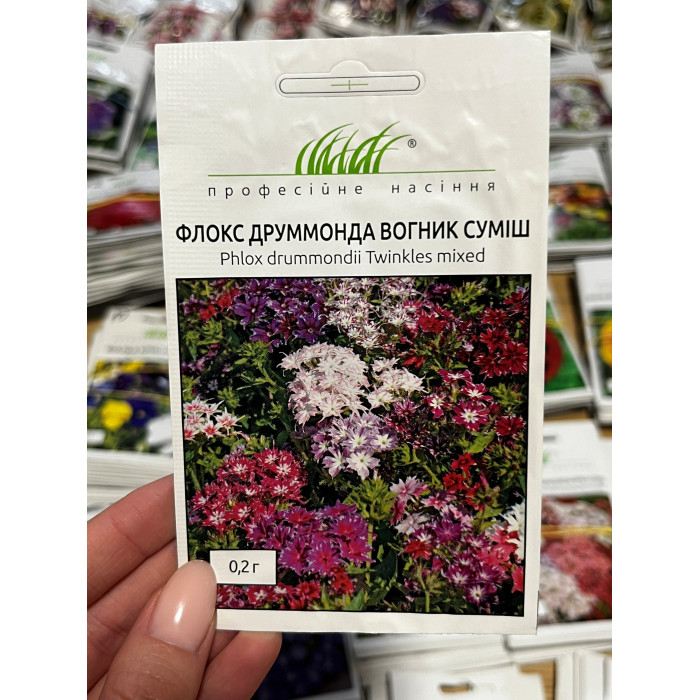 Флокс Друммонда огонек смесь 20-25см