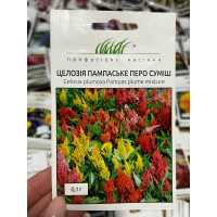 Целозія Пампське перо суміш 40-50см