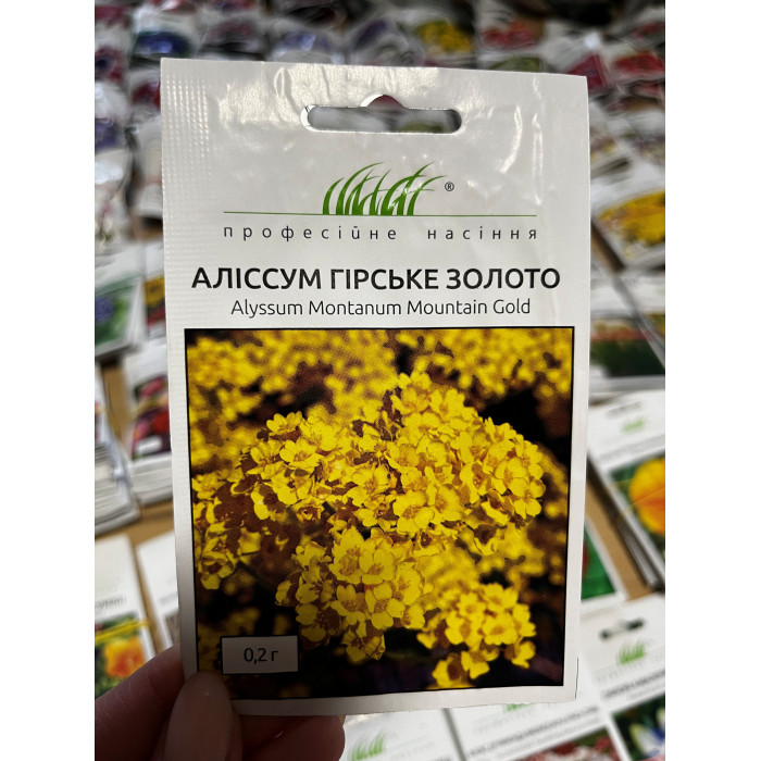Алиссум Горное золото 15-20см