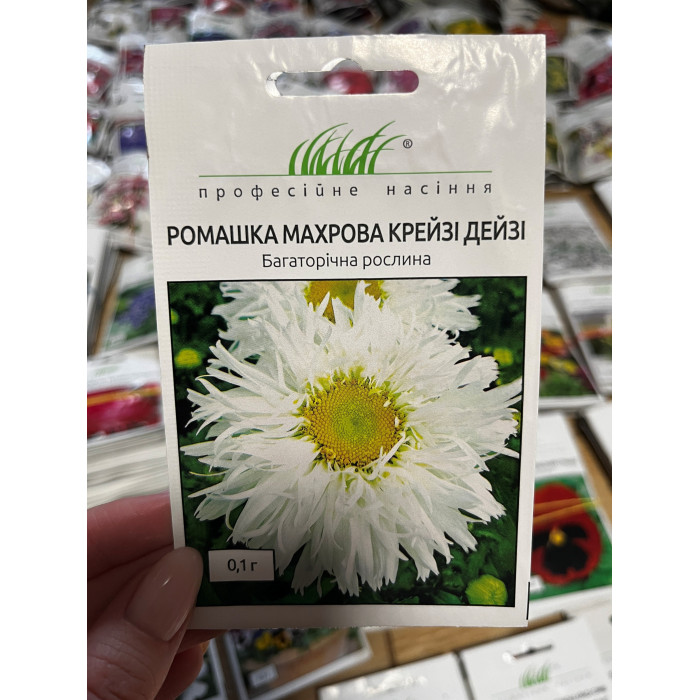 Ромашка махровая Крейзи дейзи 60-70см