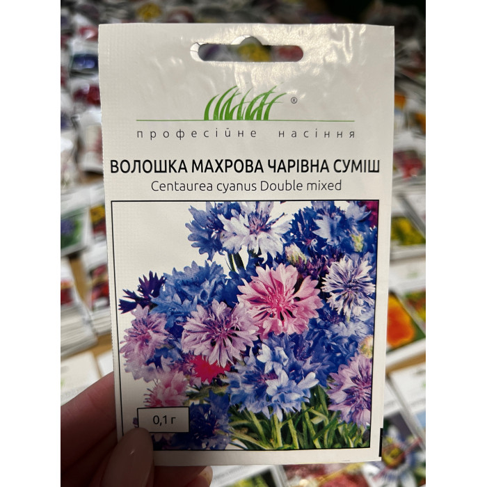 Волошка махрова суміш 40-50см