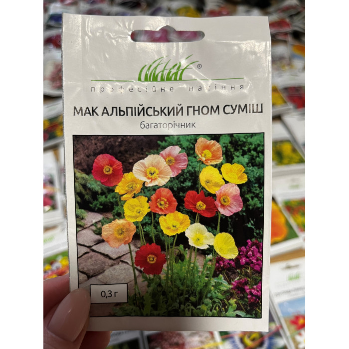 Мак альпийский Гном смесь 30-35см