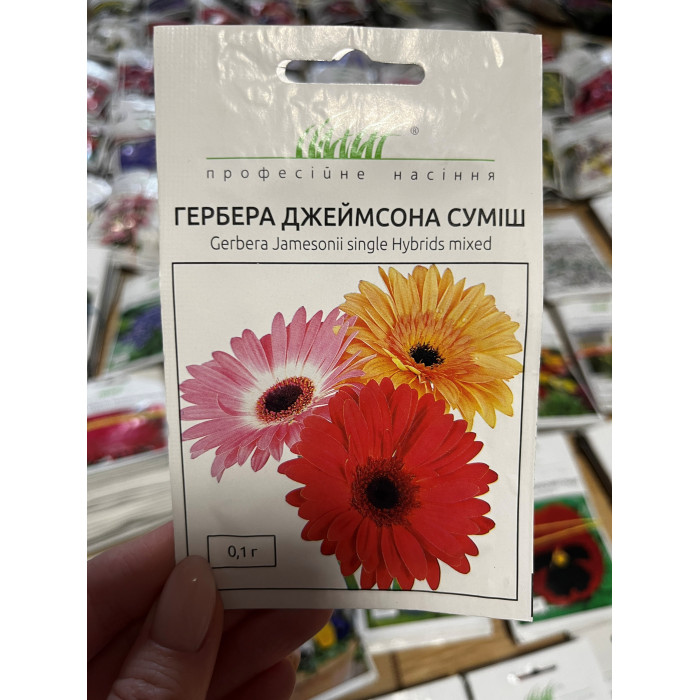 Гербера Джеймсона
