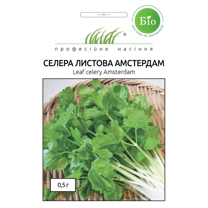 Сельдерей листовой Амстердам