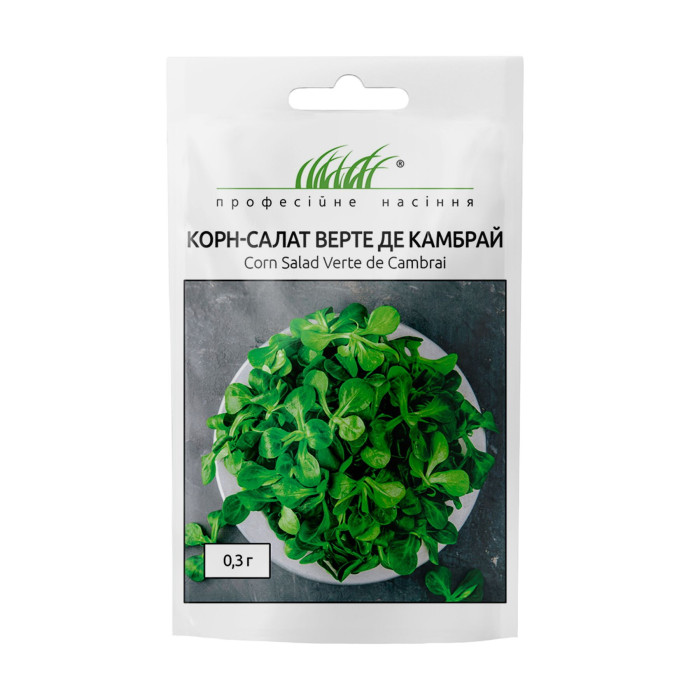 Корн-салат «Верте де камбрай»