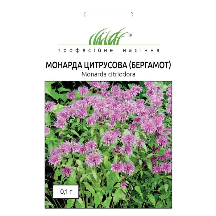 Монарда цитрусовая (бергамот)