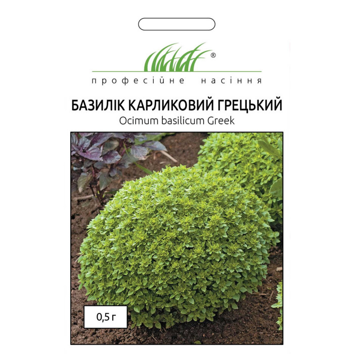 Базилик карликовый греческий