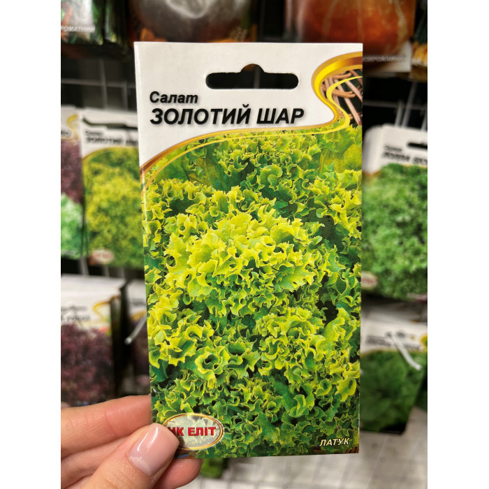Салат Золотой слой