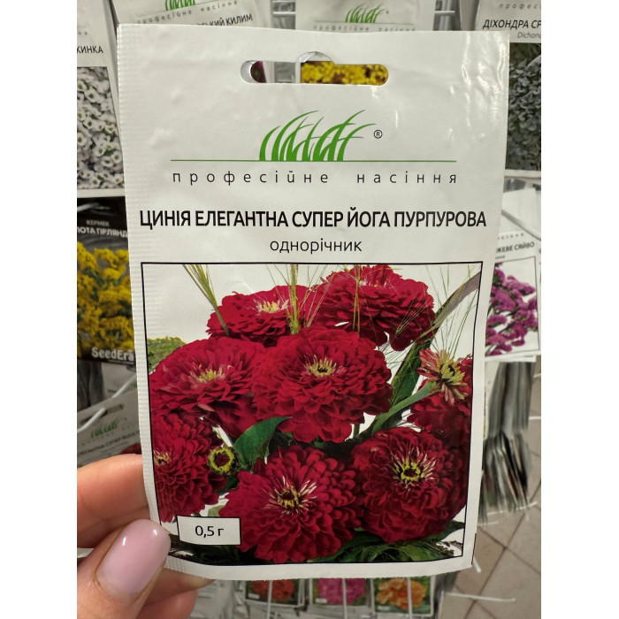 Цинія елегантна Супер йога пурпурова