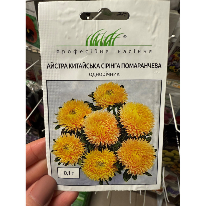 Айстра китайська Сірінга помаранчева