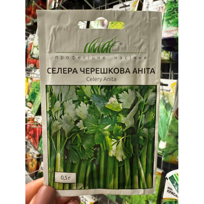 Селера черешкова Аніта