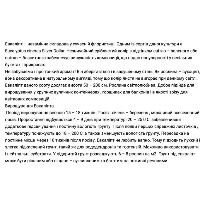 Эвкалипт гунни Сильвер доллар 10шт