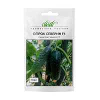 Огірок Северин 10шт