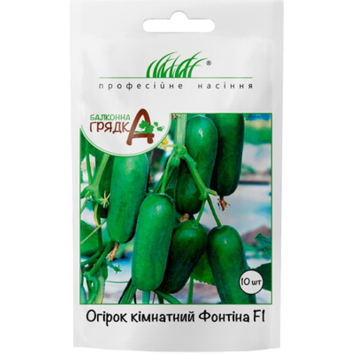 Огурец комнатный Фонтина F1, 10 шт