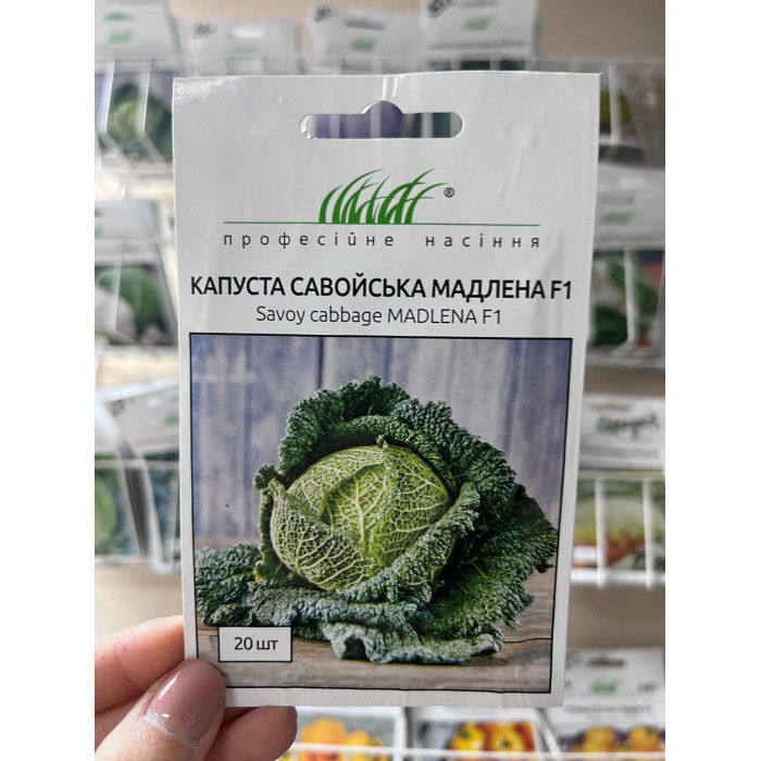 Капуста савойская Мадлена F1, 20шт