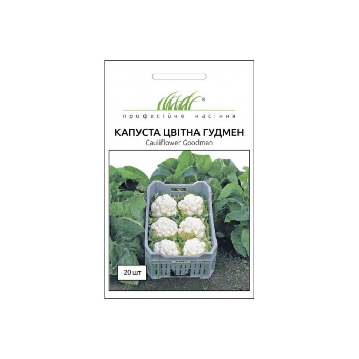 Капуста цветная Гудмен, 20 шт