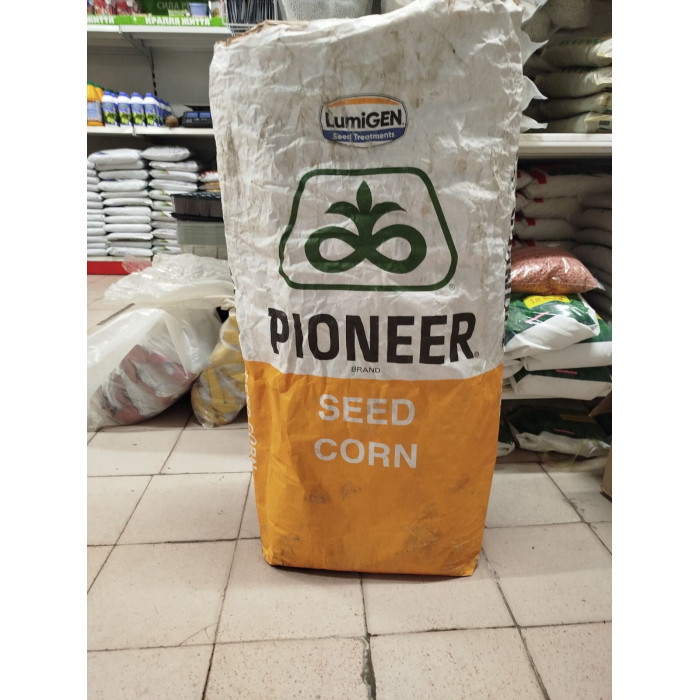 Кукуруза кормовая Pioneer P8436 AQ 1кг