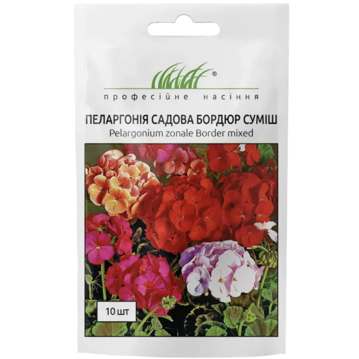 Пеларгония садовая бордюр смесь
