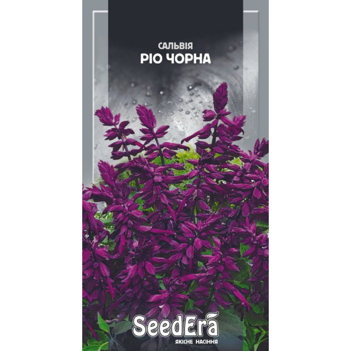 Семена Цветы Сальвия Рио (черная) Seedera, 0,2 г