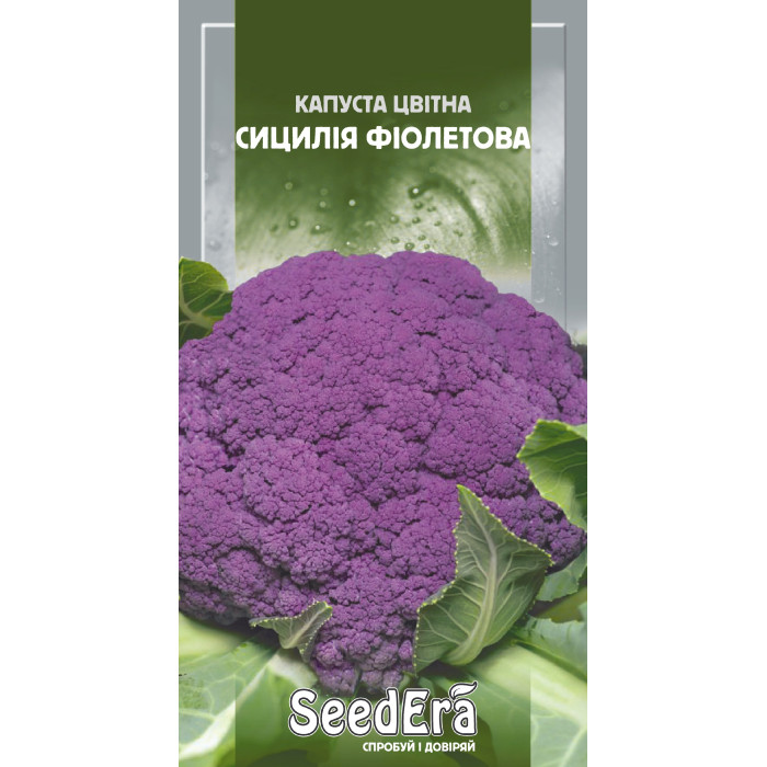 Семена Капуста цветная Сицилия фиолетовая Seedera, 0,5 г