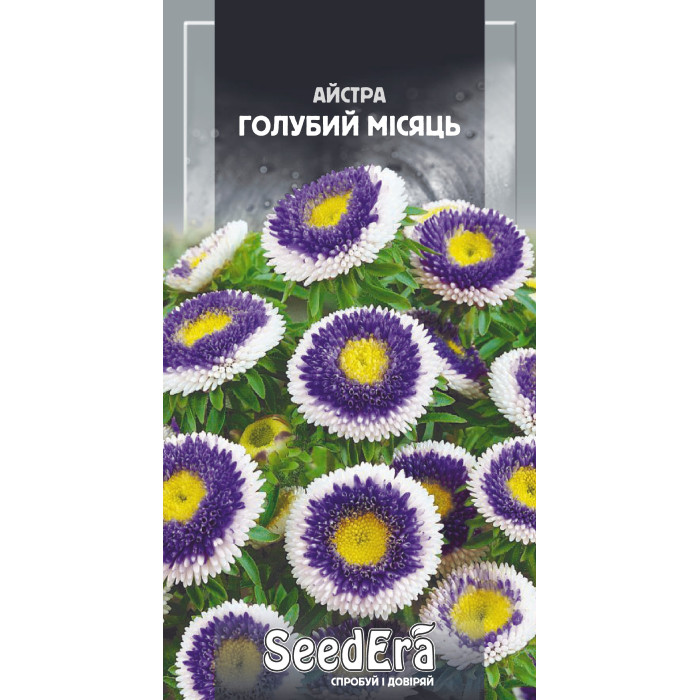 Насіння Квіти Айстра середньоросла Голубий місяць Seedera, 0,25 г