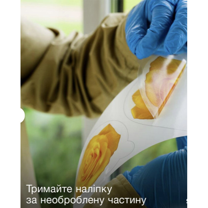 Наклейки против мух