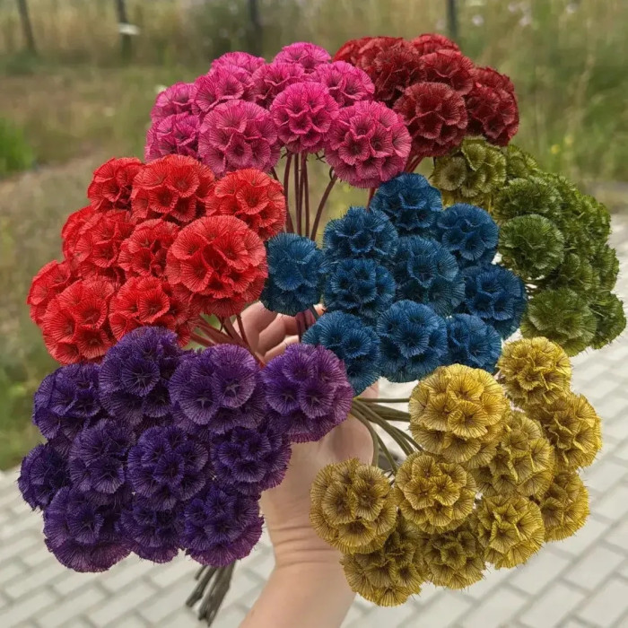 Скабиоза звездчатая — семена