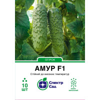 Амур F1, огурец корнишон, партенокарпический, 10 сем. СПЕКТР