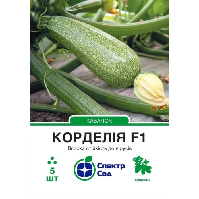 Кабачок Корделія F1 5 насінин СПЕКТР
