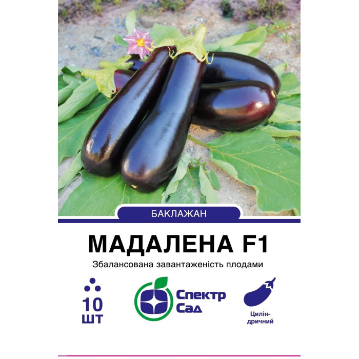Баклажан Мадалена F1 10 насінин СПЕКТР