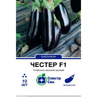 Честер F1, баклажан, цилиндрический, 10 сем. СПЕКТР