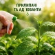 Прилипачі та ад`юванти